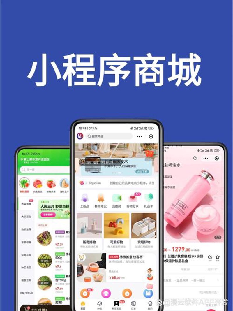 软件定制开发